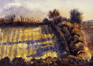 Feld mit langen Schatten