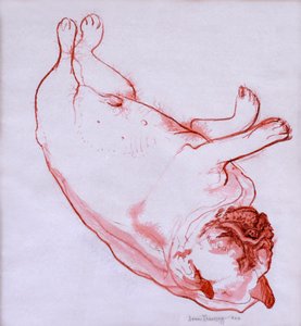 Hogarth schläft von Joan Thewsey