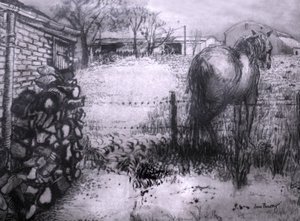Pferd ruht sein Bein aus von Joan Thewsey