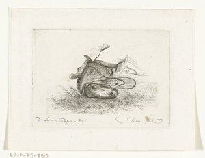 Pferdekopf eines liegenden Pferdes von Joannes Bemme