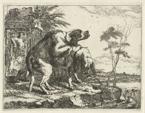 Zwei paarende Hunde Hunde (Serientitel)