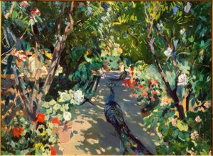 Garten der Casa Mir
