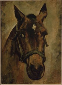 Pferdekopf von Joaquín Sorolla