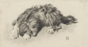 Schlafender Hund