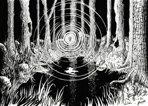 Mystischer Waldrippel von Johan Liewendahl