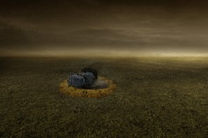 Ende eines Ziels, 2013