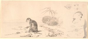 Der Affe. Rechts Studien von Affenköpfen usw. von Johan Thomas Lundbye