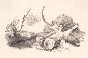 Die Spinne von Johan Thomas Lundbye