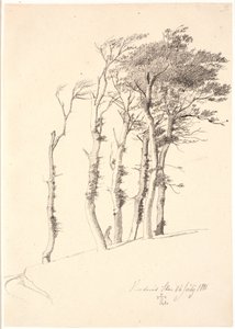 Gruppe von windgepeitschten Bäumen von Johan Thomas Lundbye