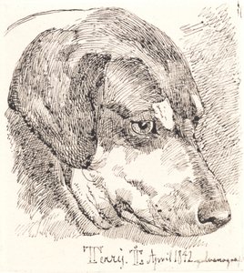 Hundekopf, Terry