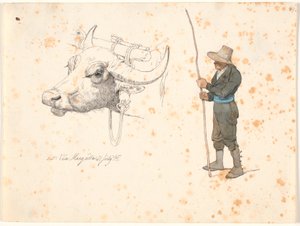 Studie des Kopfes eines Holzochsen und eines stehenden Feldmaus von Johan Thomas Lundbye