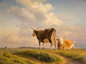 Zwei Kühe auf einem offenen Feld