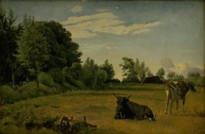 Zwei Kühe auf einem Feld bei Vognserup Manor, Seeland