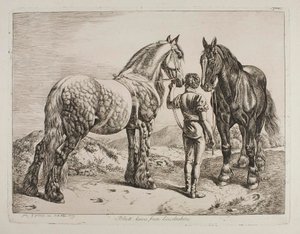 Schwarze Pferde aus Lincolnshire von Johann Adam Klein