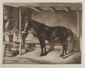Pferd im Stall von Johann Adam Klein