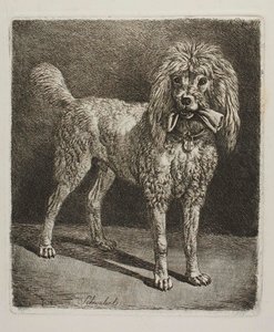  von Johann Adam Klein