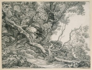 Bäume an einem Felsabhang von Johann Christian Reinhart