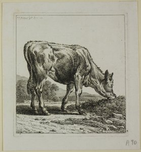 Kalb füttern, aus Die Zweite Thierfolge
