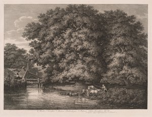 Die Mühle bei den Großen Eichen
