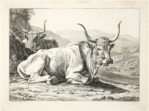 Zwei ruhende römische Stiere, aus Die zweite Tierfolge