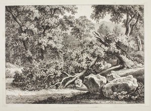 Waldszene mit gebrochener Eiche von Johann Christian Reinhart