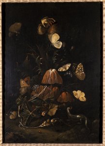 Blumen mit Schmetterlingen und Eidechse