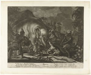 Jagd auf Elefanten