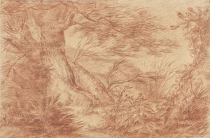 Pflanzen und Gräser bei alten Weidenstämmen von Johann Elias Ridinger