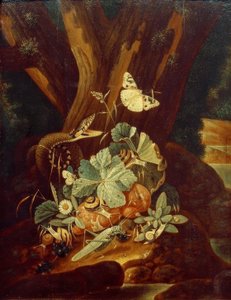 Insekten, Schnecken und Schlange