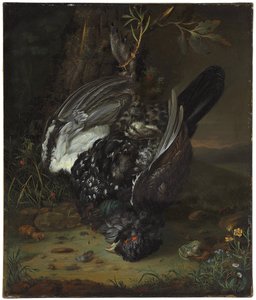 Ein Auerhahn in einer bewaldeten Landschaft, 1747 von Johann Friedrich von Grooth