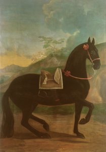 Ein schwarzes Pferd mit spanischem Sattel