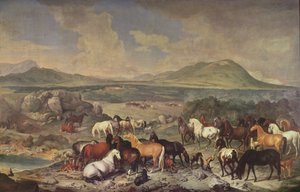 Das Kaiserliche Gestüt mit Lipizzaner Pferden