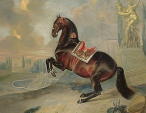 Das dunkelbraune Pferd 
