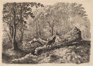 Verfallener Baumstamm, 1794