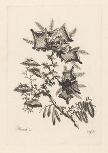 Blumen in Drachenform