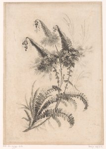 Spitze Blumen von Johann Heinrich  Hess