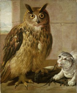 Uhu und Katze mit toten Ratten