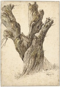 Eine Kopfweide von Johann Heinrich Roos