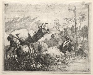 Ziegen