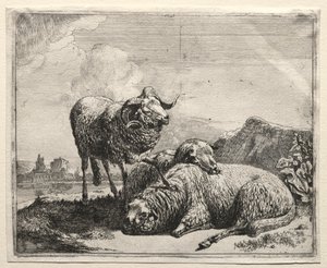 Widder und zwei Schafe, 1665