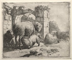 Schafe in der Nähe der Ruinen eines Bogens, 1665 von Johann Heinrich Roos