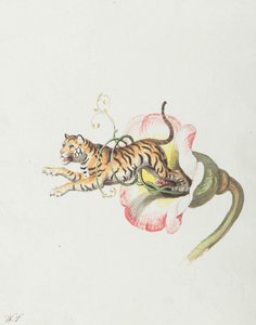 Tiger springt aus einer Blumenkronen. Allegorie auf Blumensamen, 1817