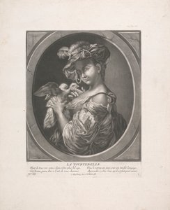 Die Turteltaube von Johann Jacobus Haid