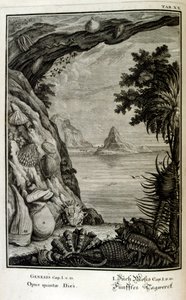 Kupferstich aus 