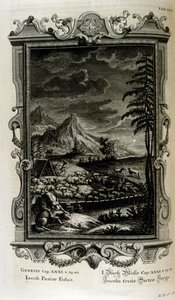 Felder von Jakob