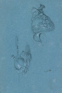 Helmstudien