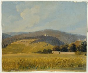Landschaft bei Baden