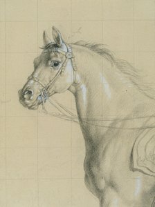 Pferdestudie zu "Erzherzog Karl mit seinem Stab in der Schlacht bei Aspern" von Johann Peter Krafft