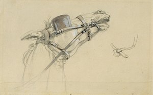 Studie eines Pferdekopfes zu "Rückkehr des Kaisers Franz aus Pressburg"