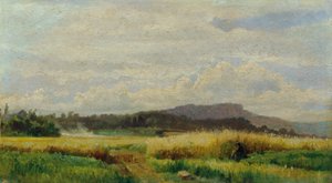 Getreidefeld mit alter Frau von Johann  Till der Jüngere